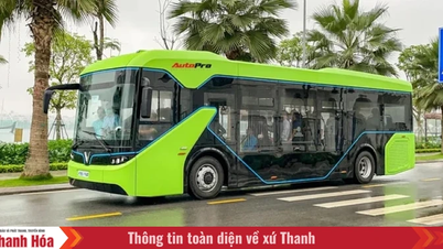 Thanh Hoa صوبے کا مقصد 2030 تک اپنی 50 فیصد شہری پبلک ٹرانسپورٹ گاڑیاں الیکٹرک کاروں میں تبدیل کرنا ہے۔