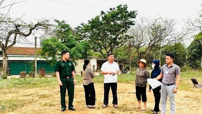 La commune de Phu Cat se concentre sur le défrichement des terres et l'accélération de l'avancement des projets.