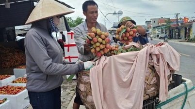 Laatste update over de voortgang van de samenvoeging van dorpen en wijken in Hai Phong (inclusief de voormalige provincie Hai Duong) in 2026.