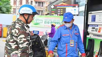 Xăng sinh học E10 an toàn cho động cơ!