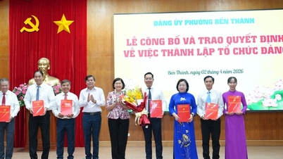 Città di Ho Chi Minh: Il distretto di Ben Thanh istituisce ulteriori sezioni e comitati del Partito, rafforzando il sistema politico.