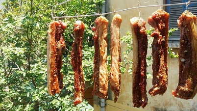 La pratica di essiccare la carne al sole a temperature superiori ai 40 gradi Celsius è sicura?