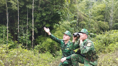 Thủ tướng chỉ đạo triển khai các hoạt động nhân Tháng hành động phòng, chống ma túy năm 2026