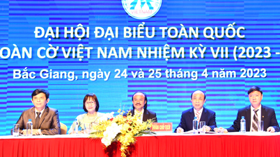 Il presidente della Federazione scacchistica vietnamita rilascia un comunicato urgente per risolvere alcune problematiche interne.