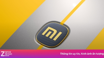 Taruhan Xiaomi senilai 8,8 miliar dolar AS