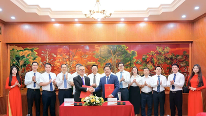 Vietnam aile değerlerini korumak ve yaymak için koordinasyonu güçlendirmek.