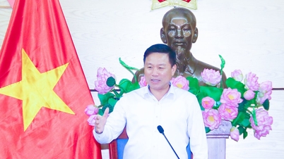 سيتم تعديل خطة مقاطعة نغي آن لتشمل 6 مناطق حضرية ديناميكية.