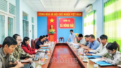 ຕາແສງດົງຫາຍ ລະບຸ 444 ຂັ້ນຕອນການບໍລິຫານທີ່ເຊື່ອມຕໍ່ກັນ.