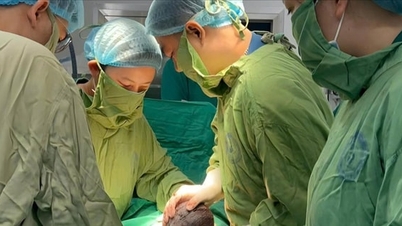 الطب الجنيني الفيتنامي: إنقاذ أكثر من 85% من الأجنة الذين يعانون من حالات طبية معقدة.