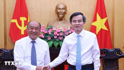 Vietnam a Laos zavádějí inovace ve spolupráci v oblasti vzdělávání úředníků a posilování kapacit pro provádění politik.