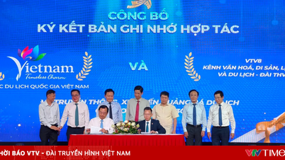 VTV8, Vietnam turizmi için bir medya ekosistemi oluşturmayı hedefliyor.