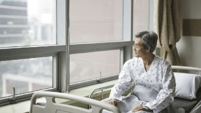 A dispute over property near their father's hospital bed resulted in three sons losing everything due to their greed.