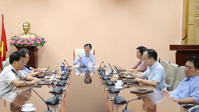 ກະຊວງສາທາລະນະສຸກຮຽກຮ້ອງໃຫ້ໜ່ວຍງານລາຍງານຄວາມຄືບໜ້າຂອງການຫັນປ່ຽນດິຈິຕອນທຸກໆອາທິດ.