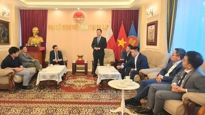 تعزز فيتنام وبولندا التعاون المكثف في مجال المعايير وعلم القياس والجودة.