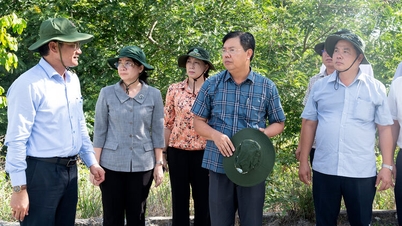 Der Parteisekretär der Provinz An Giang, Nguyen Tien Hai, besichtigt touristische Attraktionen und Stauseen in der Region Bay Nui.