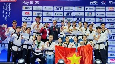 L'équipe vietnamienne de taekwondo remporte 2 médailles d'or asiatiques et se qualifie pour 4 des 20 Jeux asiatiques.