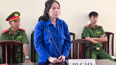 Lừa góp vốn kinh doanh đường, nữ bị cáo lãnh 13 năm tù