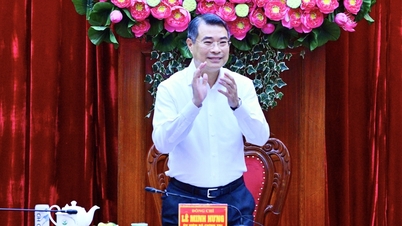 Başbakan: Vinh Long, 'çift haneli' büyüme hedeflerine ulaşmak için yeni bir büyüme modeli oluşturmalıdır.