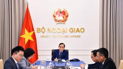 Stärka samarbetet mellan Vietnam och dess traditionella partner Algeriet och Namibia.