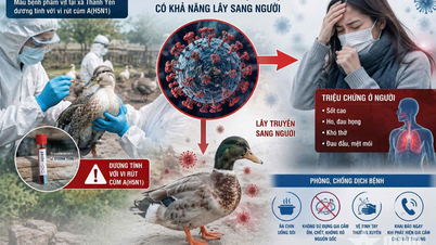 Dien Bien: Attuazione urgente di misure per prevenire e controllare l'influenza aviaria A (H5N1)