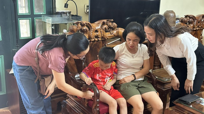 Hanoi intensifica il monitoraggio, le indagini e la gestione dell'epidemia di rabbia nel comune di Thach That.