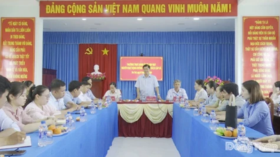 Dong Thap : 183 personnes non professionnelles recrutées comme fonctionnaires.