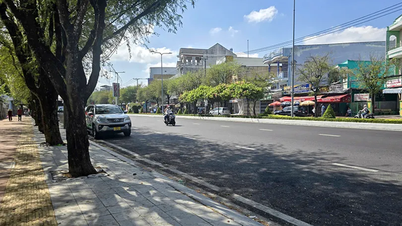 Lavoriamo insieme per una città pulita e bella.