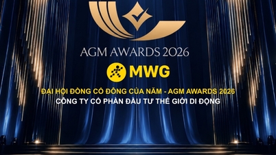 MWG è stata premiata agli AGM Awards 2026 in due importanti categorie relative alla governance aziendale.