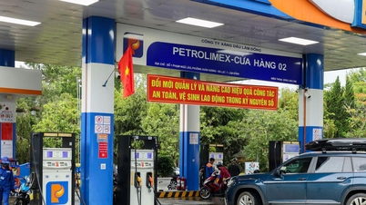 Passare alla benzina E10 prima della scadenza: superare le barriere psicologiche.