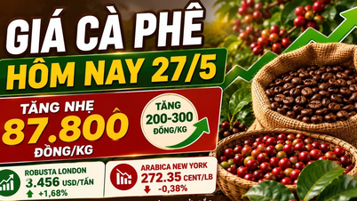 Prezzi del caffè oggi, 27 maggio: la regione degli Altipiani Centrali si riprende, mentre i prezzi mondiali del Robusta aumentano bruscamente.