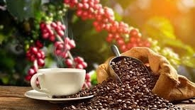 Prezzi del caffè oggi, 27 maggio: i più alti della settimana a causa dei rischi meteorologici globali.
