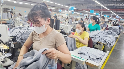 Industri tekstil Hue menyesuaikan diri dengan tekanan pasaran eksport.
