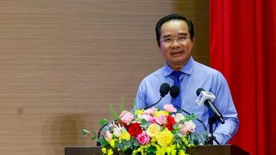 Il presidente di Ho Chi Minh City è a capo della task force interagenzie contro la violazione della proprietà intellettuale.