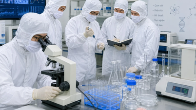 "The General Secretary's message on basic science has strategic significance."