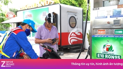 Какова производственная мощность поставок бензина E10 от дистрибьюторов нефтепродуктов?
