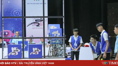 Robocon Vietnam 2026: Abordando y aclarando las situaciones de colisión durante la competición.