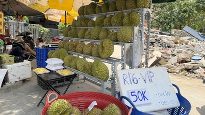 Ho Chi Minh City viene invasa da durian a basso costo: com'è la qualità?