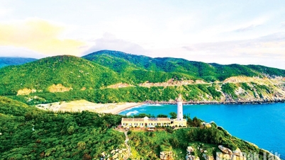 Dak Lak launches "vast forests - blue sea" planning, positioning itself as a regional tourism hub.