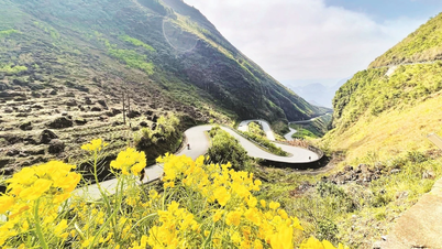 Vietnams Tourismus auf dem Weg zur „Ökologisierung“