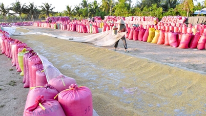 Nông sản Việt với khát vọng chuyển mình