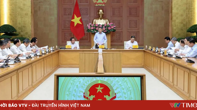 Hà Nội khẩn trương rà soát quỹ đất, phát triển mô hình nhà ở cho thuê