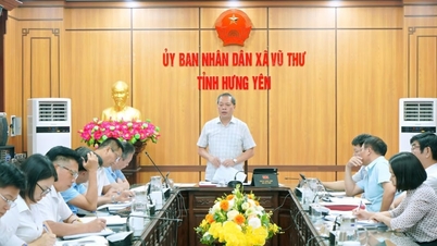 Hung Yen eyaletindeki (eskiden Thai Binh eyaletinin bir parçası olan) yeni Vu Thu beldesinin, köylerin ve yerleşim alanlarının birleştirilmesi de dahil olmak üzere üç temel görevi bulunmaktadır.