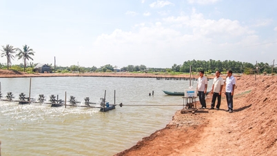 Dân vận khéo ở xã đảo Long Vĩnh