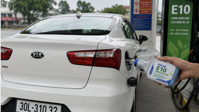 Gli additivi per carburante sono una "cura miracolosa" per le auto che utilizzano benzina E10?