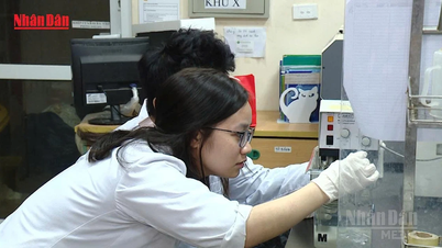 [Video] Plagiarism or data falsification can result in an indefinite ban from scientific research.