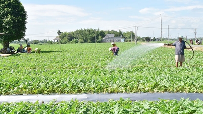 Utilize a eletricidade de forma segura e econômica no dia a dia e na produção.