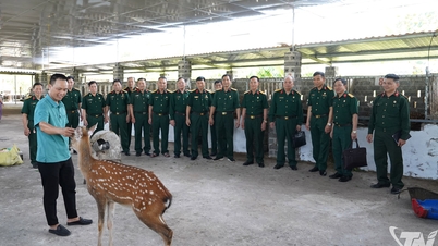 Návštěva typického chovu jelenů u veterána v Thai Nguyen.