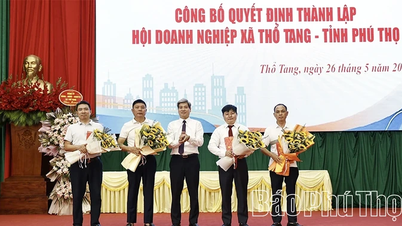 Annuncio della decisione di istituire l'Associazione commerciale del comune di Thổ Tang