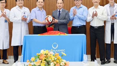 La Federazione calcistica vietnamita (VFF) sta ampliando la propria rete di medicina sportiva per migliorare la qualità dell'assistenza ai calciatori vietnamiti.