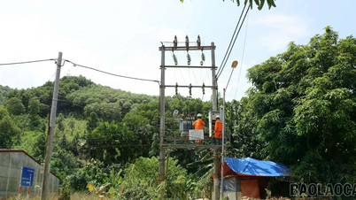 L'intensa ondata di calore ha portato a un consumo di energia elettrica da record per diversi giorni consecutivi.